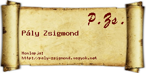 Pály Zsigmond névjegykártya