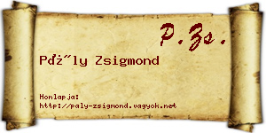 Pály Zsigmond névjegykártya